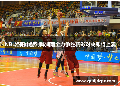 NBL洛阳中赫对阵湖南全力争胜精彩对决即将上演